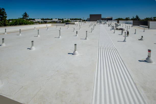 Roof Coating Services in Kirkland, WA